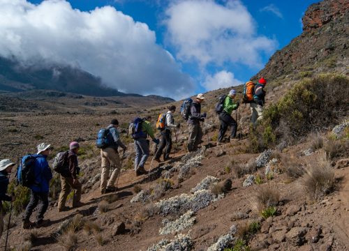 7 Days Lemosho Route