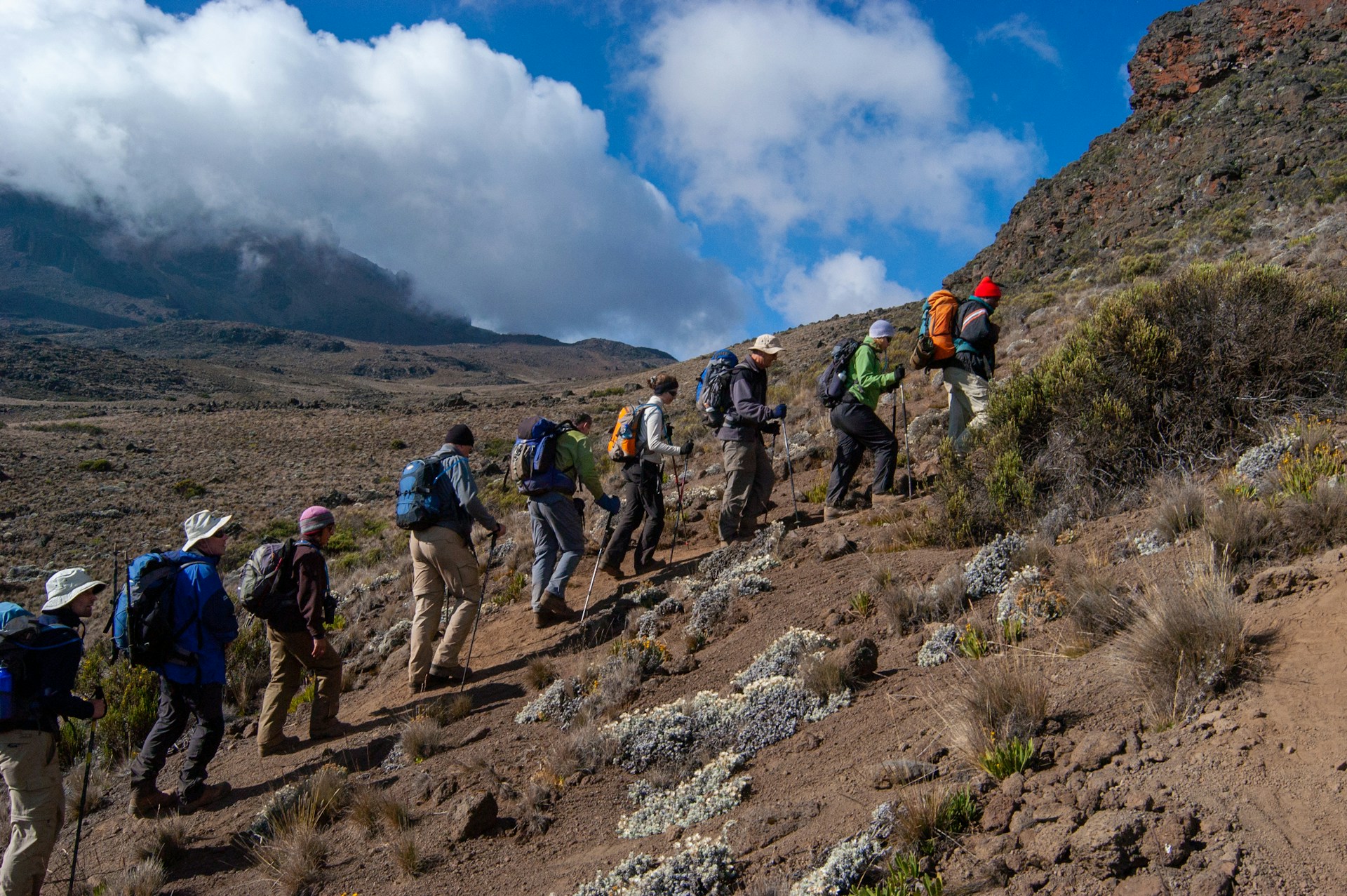 7 Days Lemosho Route