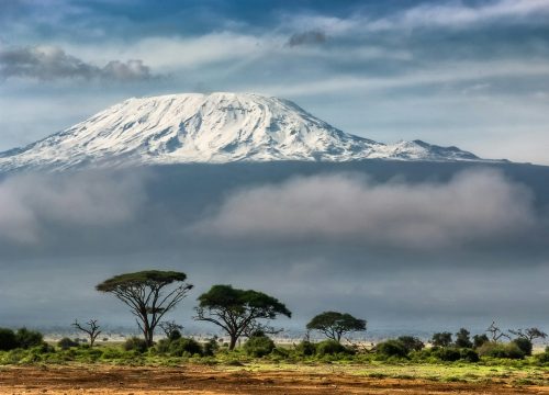 Kilimanjaro National Park