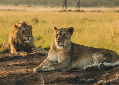 3-Day Itinerary: Serengeti & Ngorongoro