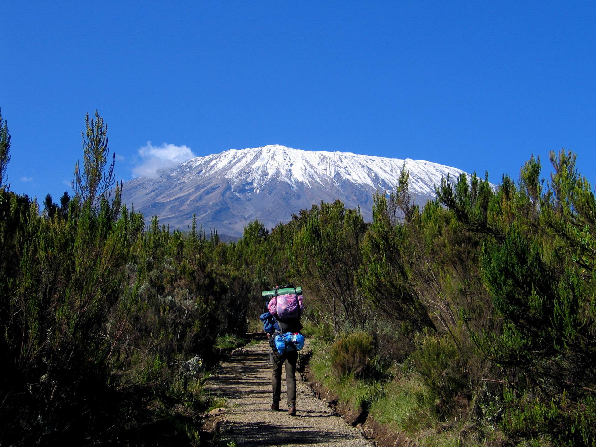 Kilimanjaro_Climb_Rongai_Route_01